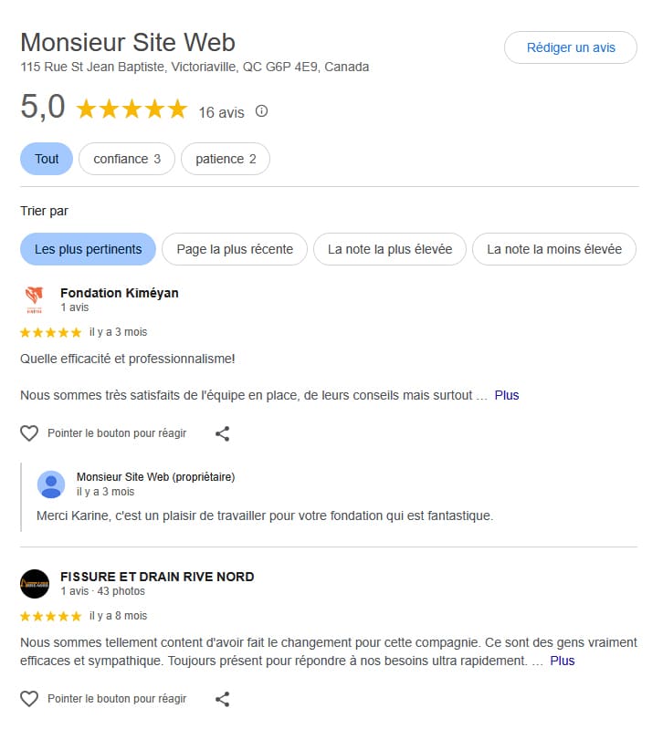 Avis Google sur Monsieur Site Web à Victoriaville.